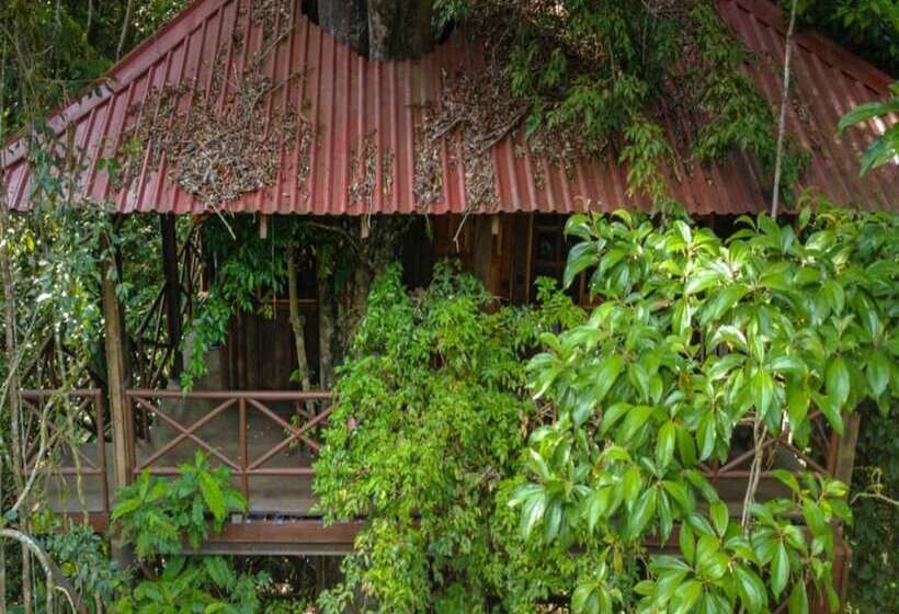 1间卧室的房子, Maquenque Ecolodge