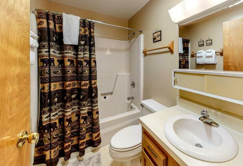 Апартаменты 1 Спальня, Mountainside Ski Lodge