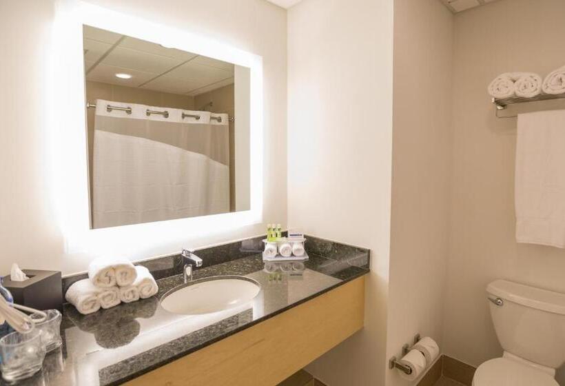 标准间带湖景, Holiday Inn Express Managua, An Ihg