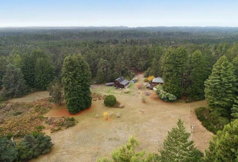 스탠다드 스튜디오, Meadow Redwoods