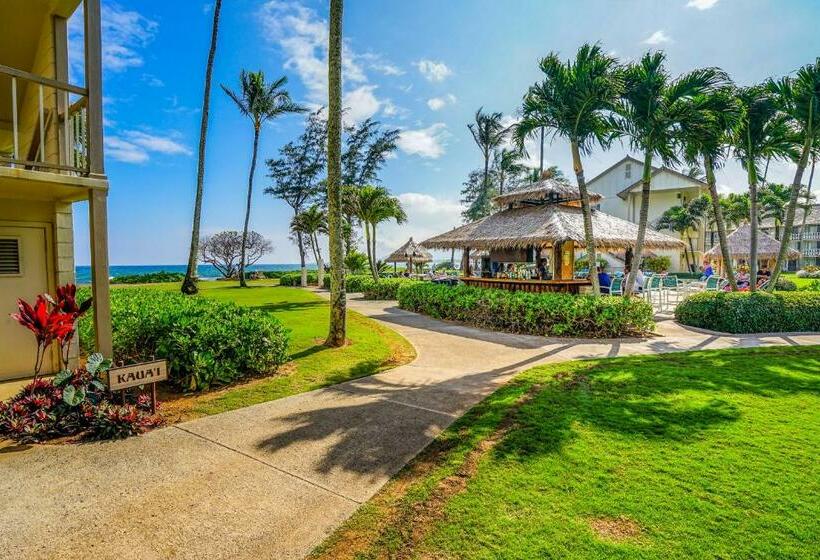 스탠다드 스튜디오, Islander On The Beach 250