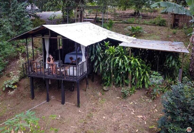 스탠다드 룸 가든 전망, Cabañas La Finca