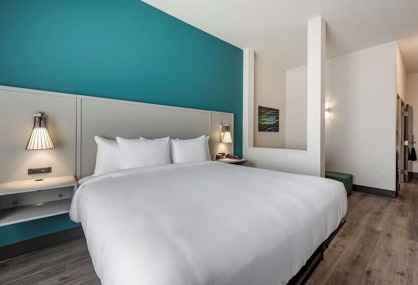 Люкс Адаптированный для Инвалидов, Comfort Suites Colorado Springs East  Medical Center Area