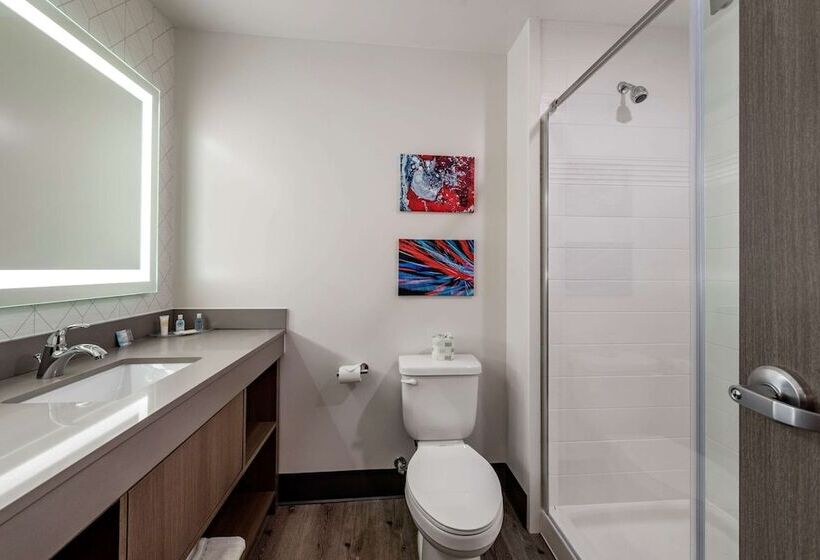 Люкс, Comfort Suites Colorado Springs East  Medical Center Area