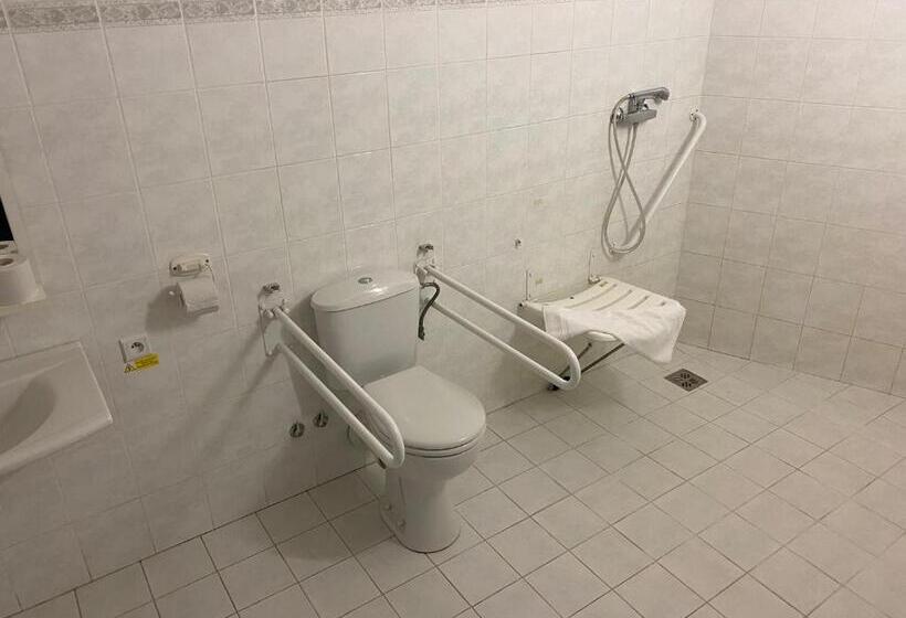 اتاق استاندارد برای معلولان, Arena