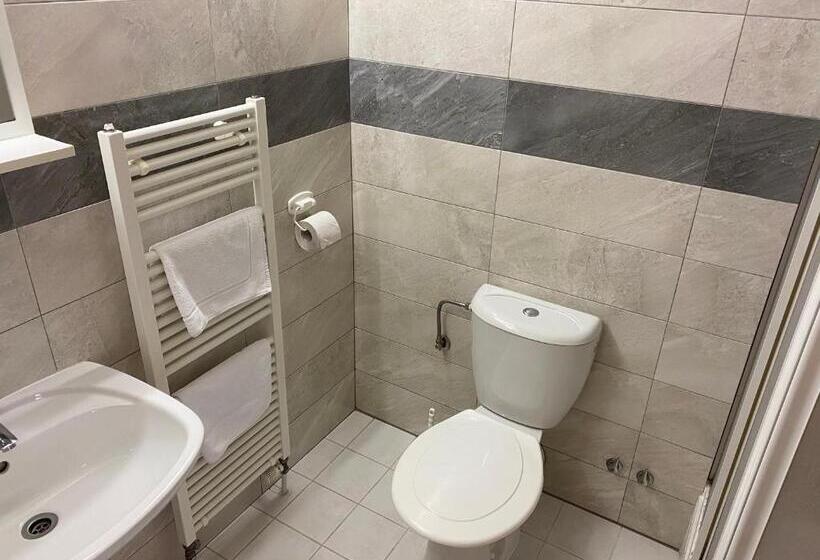 اتاق استاندارد چهار تخته, Arena