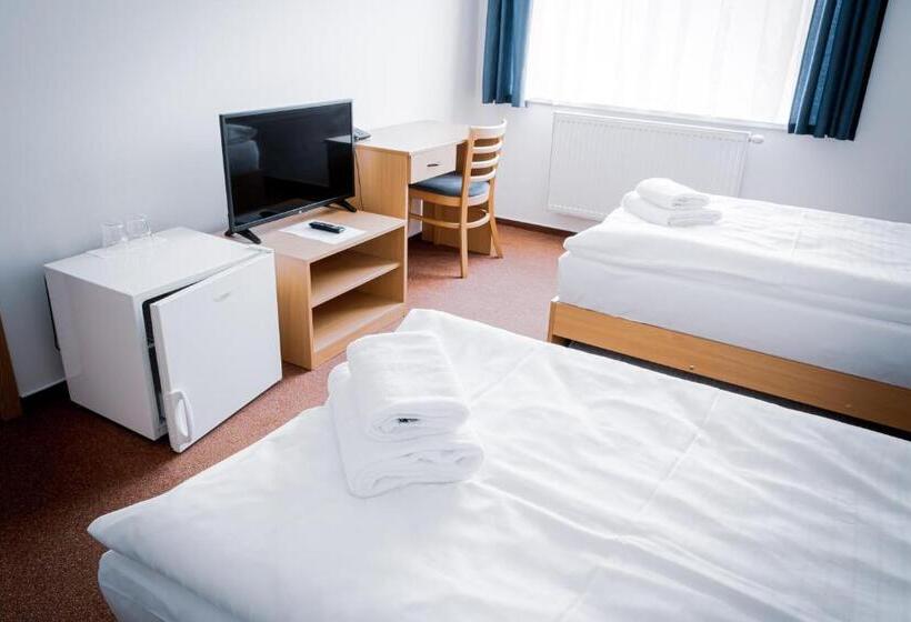 اتاق استاندارد چهار تخته, Arena