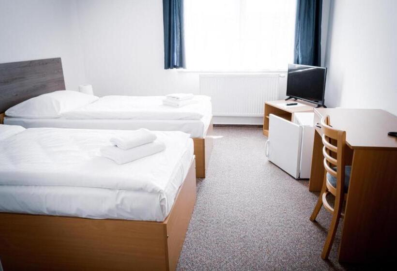 اتاق استاندارد, Arena