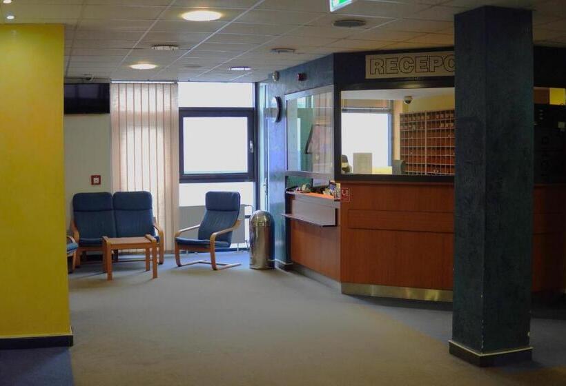 اتاق استاندارد, Arena