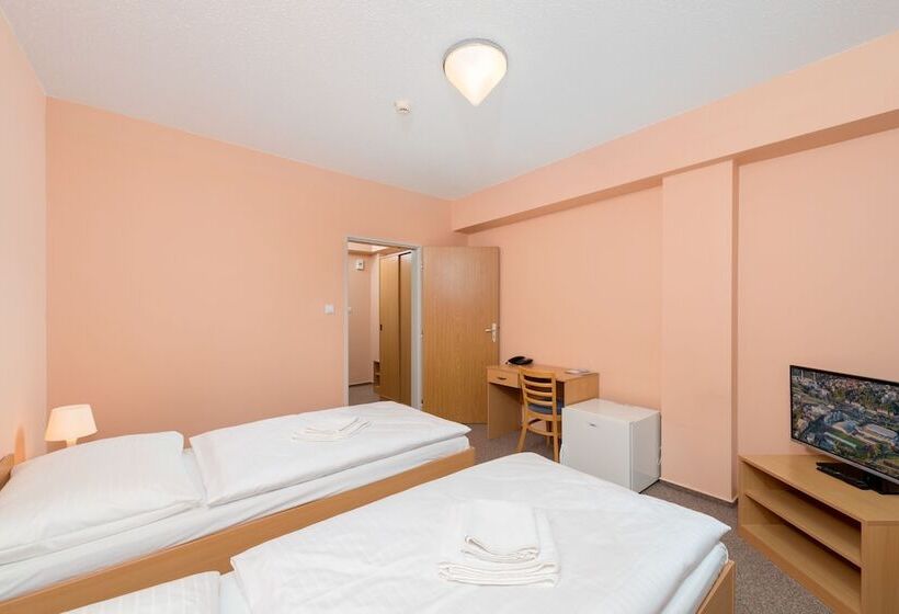 اتاق استاندارد, Arena