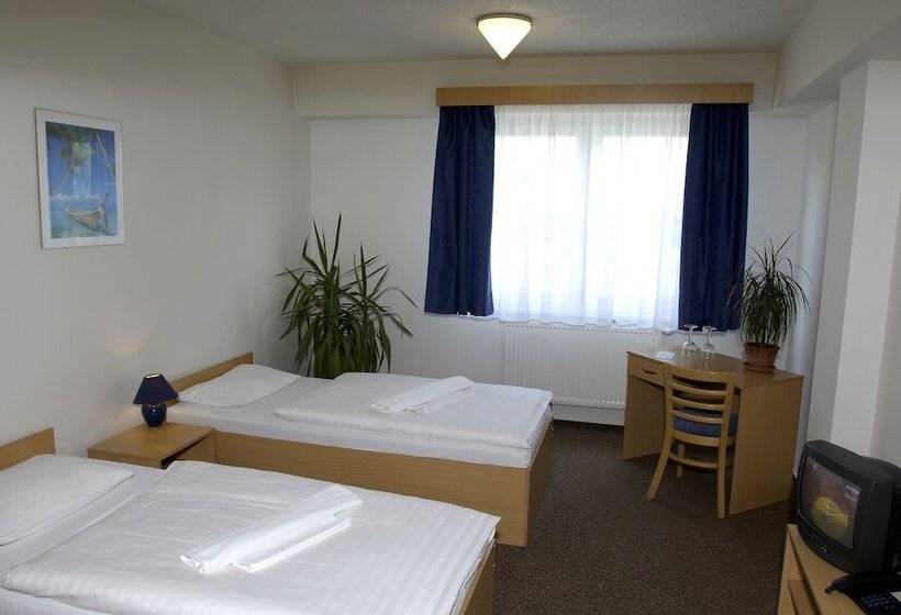 اتاق کلاسیک, Arena