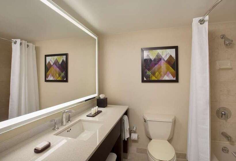 سوییت, Embassy Suites Louisville Downtown