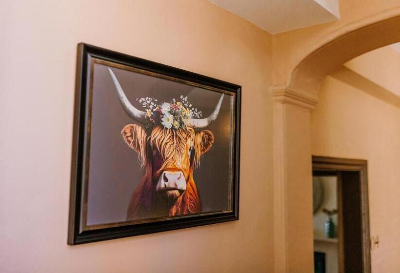 חדר סטנדרט, The Bull