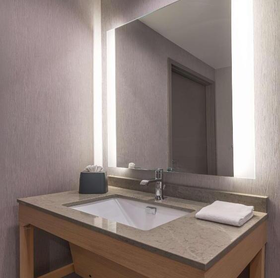 Suíte para Deficientes Físicos, Hyatt Place Newark Silicon Valley