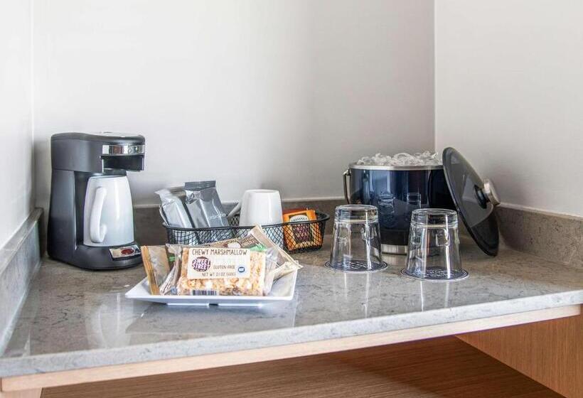 Quarto Estandar 2 Camas Casal, Hyatt Place Newark Silicon Valley