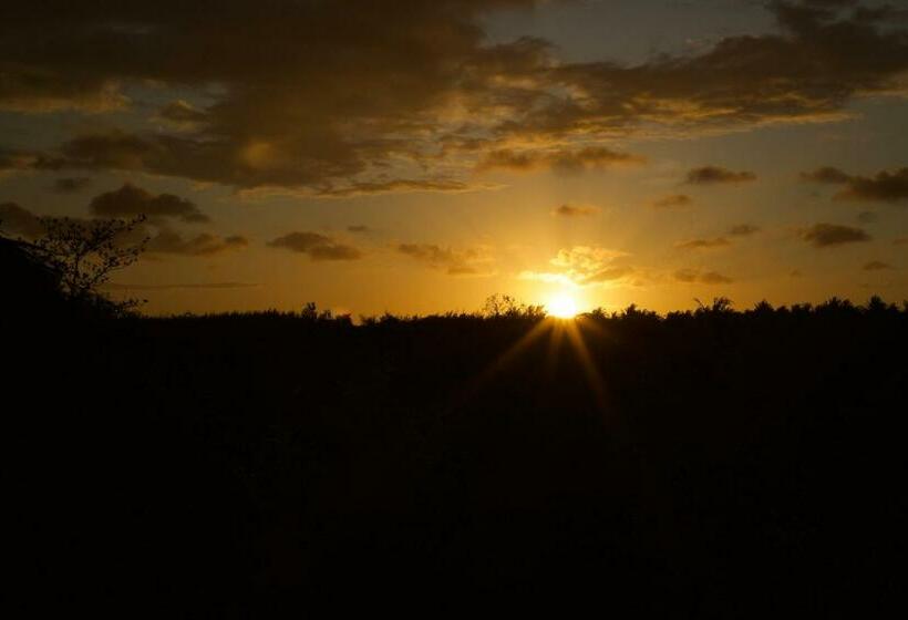 بانگلوی استاندارد, Afriican Village Zanzibar