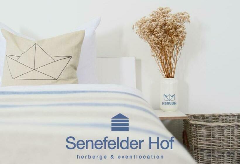 Номер Стандарт, Senefelder Hof