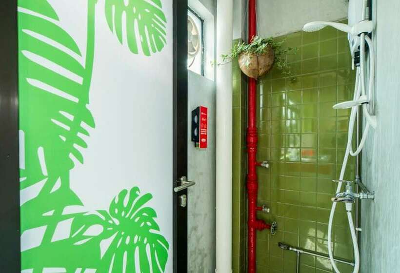 共用房间的床, Coziee Lodge   Hostel