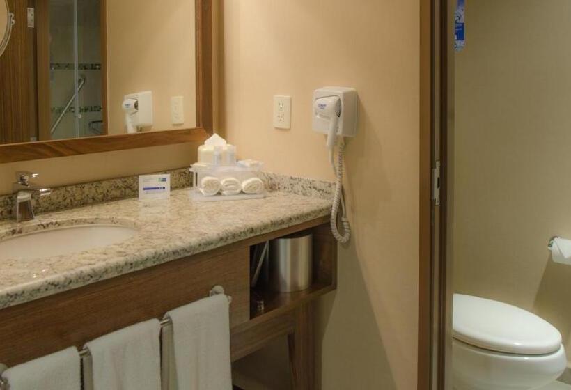 スタンダードルーム, Holiday Inn Express And Suites Celaya, An Ihg