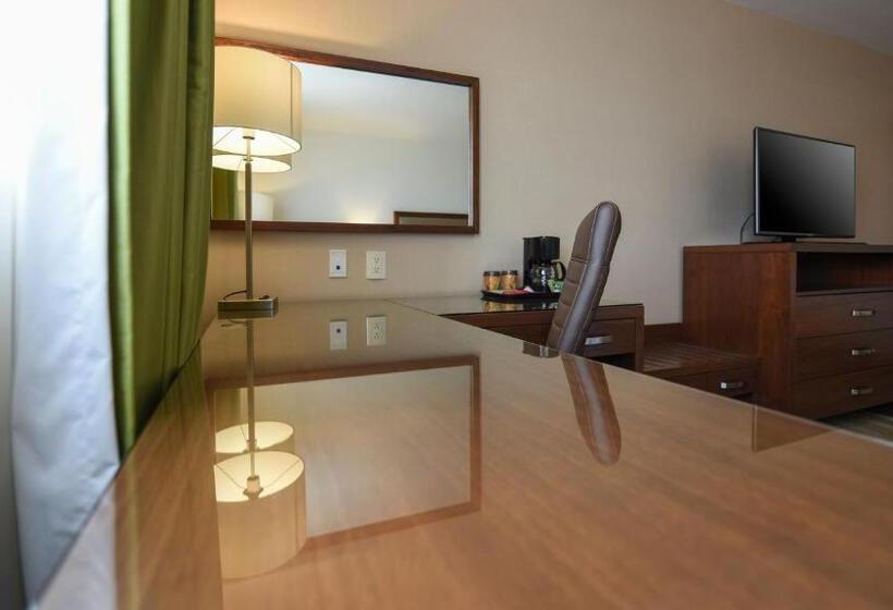 スタンダードルーム, Holiday Inn Express And Suites Celaya, An Ihg