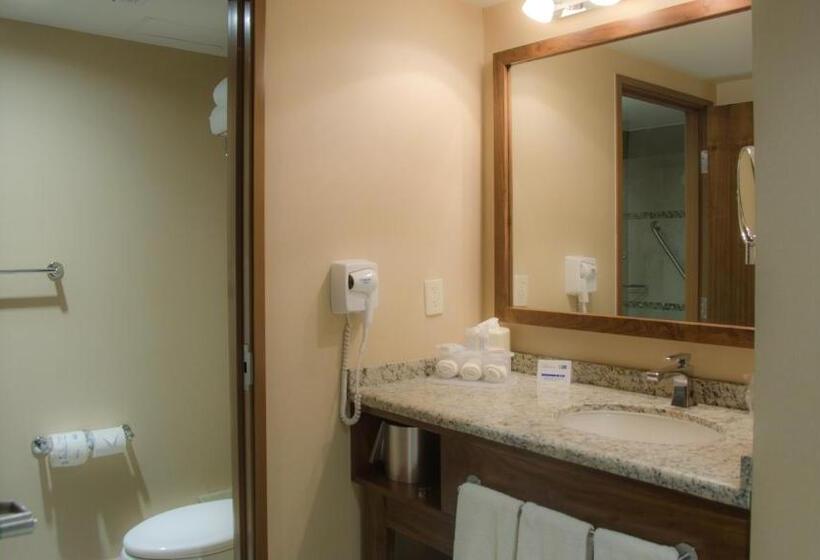 キングサイズベッドのスタンダードルーム, Holiday Inn Express And Suites Celaya, An Ihg