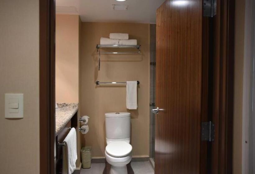 キングサイズベッドのスタンダードルーム, Holiday Inn Express And Suites Celaya, An Ihg