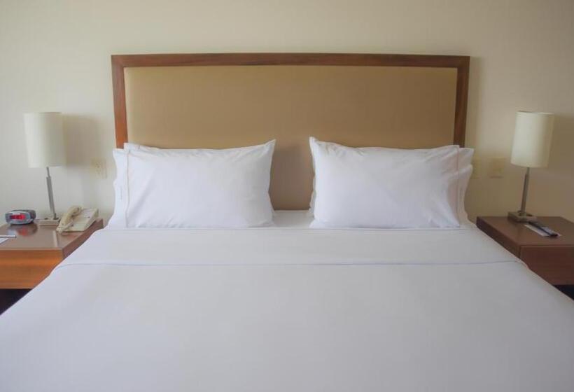 身障者適用キングサイズベッドルーム, Holiday Inn Express And Suites Celaya, An Ihg