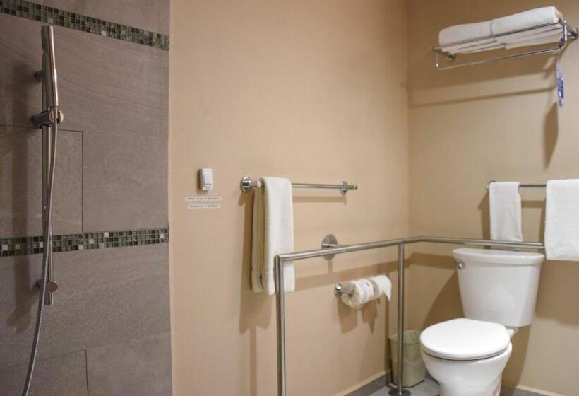 身障者適用キングサイズベッドルーム, Holiday Inn Express And Suites Celaya, An Ihg