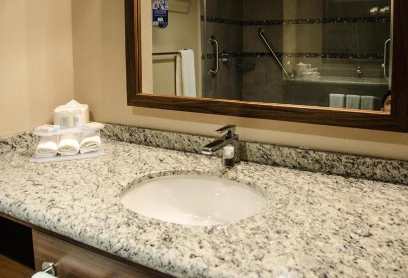エクゼクティブルーム, Holiday Inn Express And Suites Celaya, An Ihg