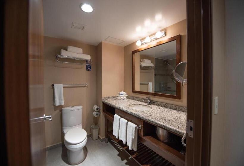 キングサイズベッドのスイートルーム, Holiday Inn Express And Suites Celaya, An Ihg