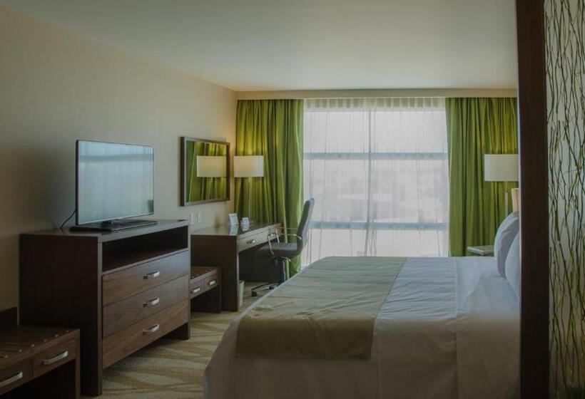 キッチン付きスタンダードルーム, Holiday Inn Express And Suites Celaya, An Ihg