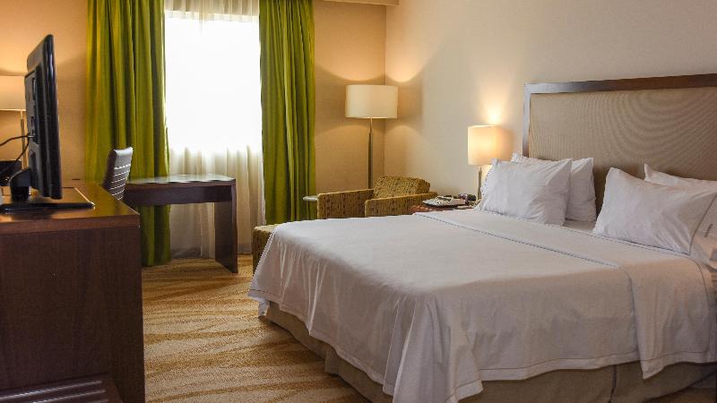 身障者適用キングサイズベッドルーム, Holiday Inn Express And Suites Celaya, An Ihg