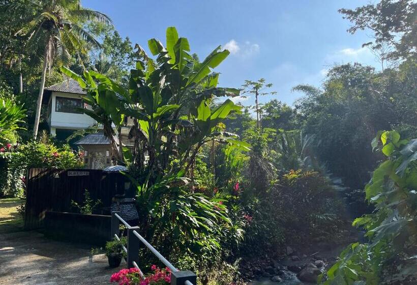 Номер Стандарт Индивидуальный Совместная Ванная, Balian Bliss Retreat Bungalow & Villas