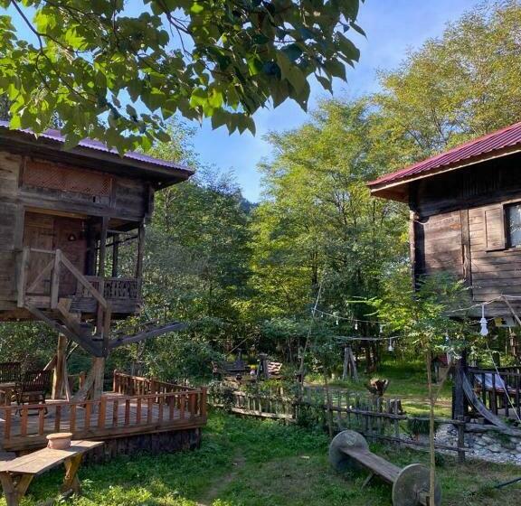 اتاق استاندارد چهار تخته, Zeni De Vore Serender & House