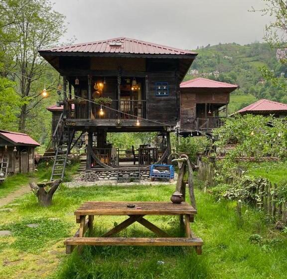 اتاق استاندارد چهار تخته, Zeni De Vore Serender & House