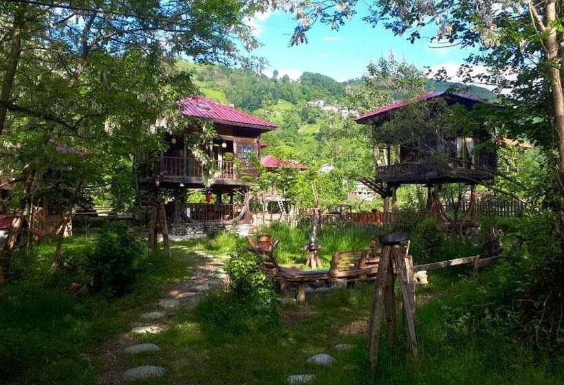 اتاق استاندارد سه نفره, Zeni De Vore Serender & House