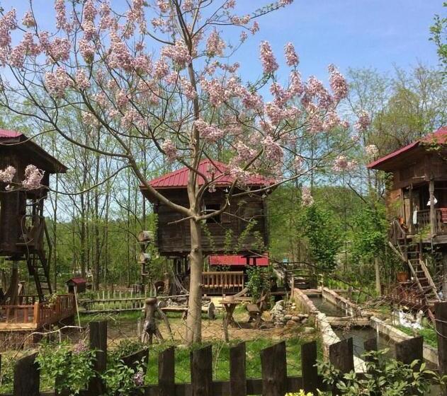 اتاق استاندارد سه نفره, Zeni De Vore Serender & House