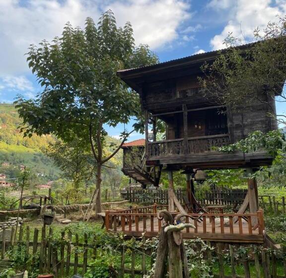 اتاق استاندارد با چشمانداز کوهستان, Zeni De Vore Serender & House