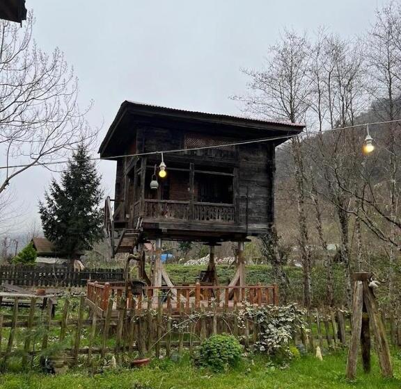 اتاق استاندارد سه نفره, Zeni De Vore Serender & House