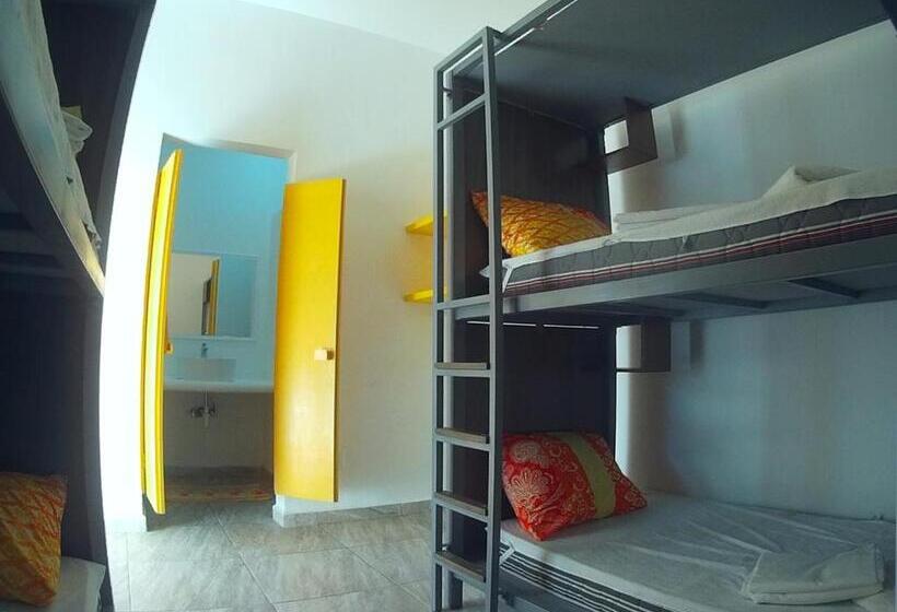 تختخواب در اتاق مشترک, Hostel Humanity