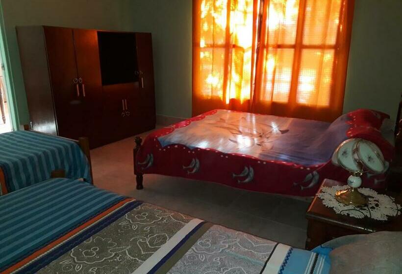 园景标准四人间, Hostel Odorico