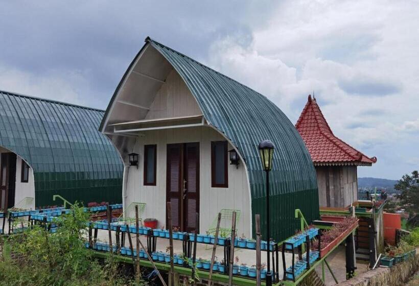 Семейный Номер, Limerr Resto Resort