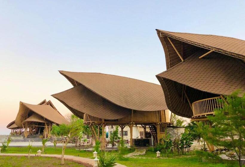 Номер Стандарт, Tanoma Sumba