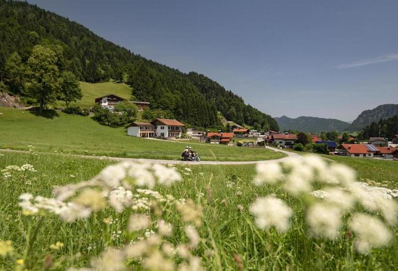 Апартаменты 1 Спальня, Biobauernhof Und Ferienhaus Riederbauer
