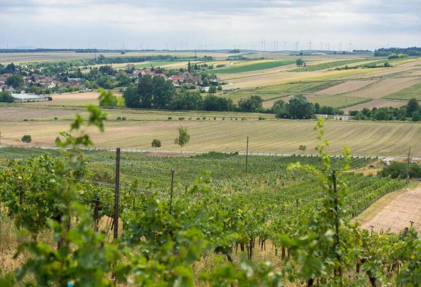 ガーデンビュースタンダードルーム, Weingut Martinshof