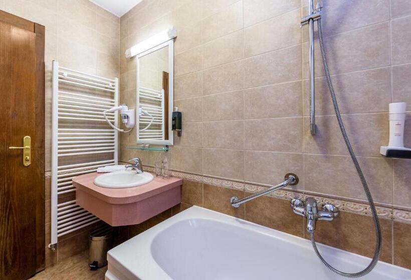 غرفة قياسية مطلة على الجبل, Bitoraj Fužine