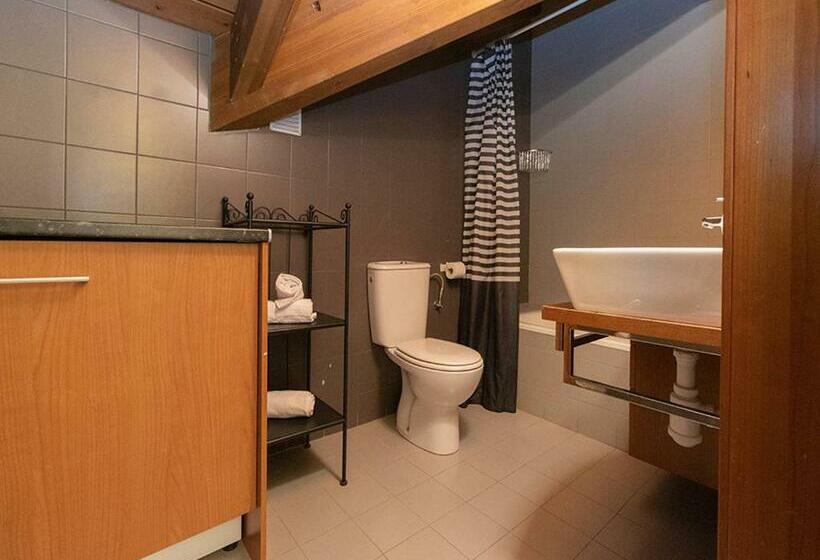 Апартаменты 1 Спальня, Apartamentos Villanua 3000