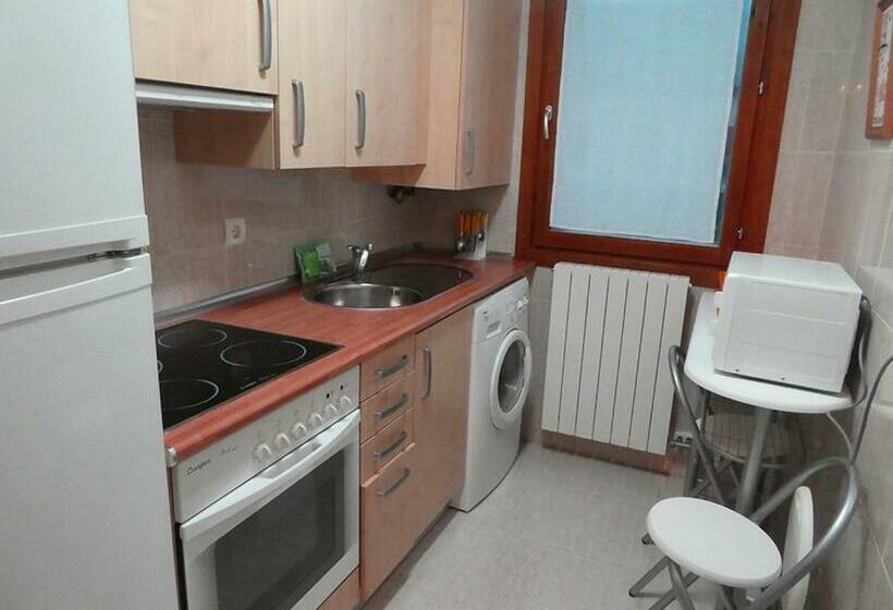 Апартаменты 1 Спальня, Apartamentos Villanua 3000
