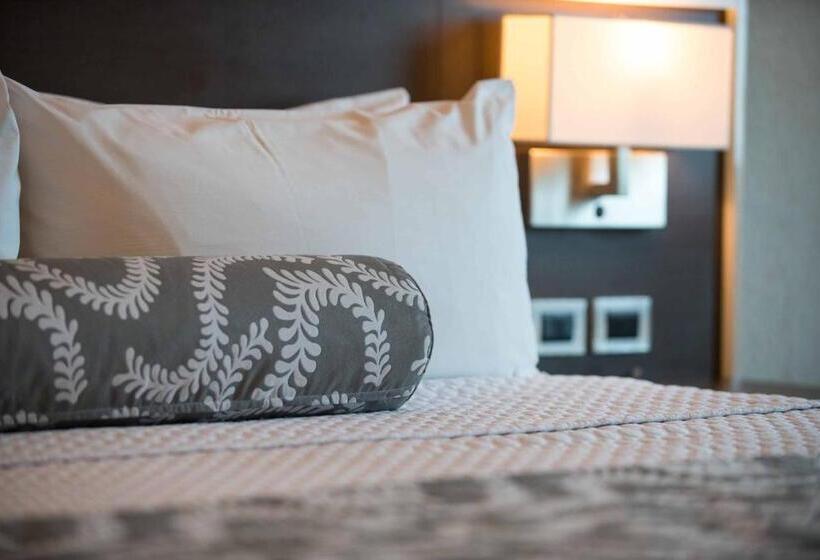 디럭스 룸, Crowne Plaza Airport, An Ihg