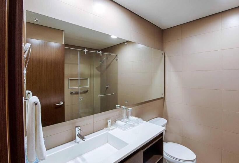 장애인을 위한 스탠다드 룸, Crowne Plaza Airport, An Ihg